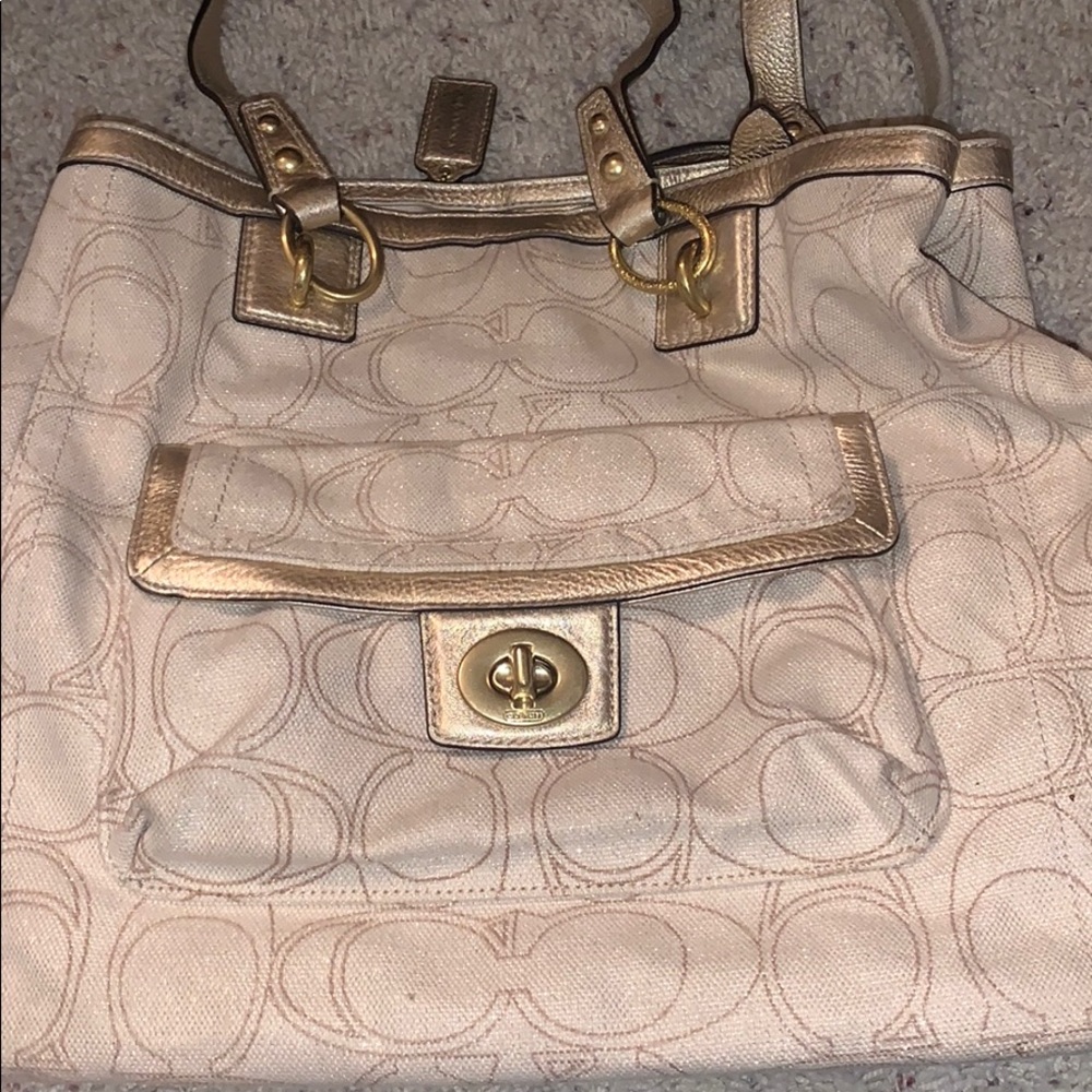 Sparkly coach print bag